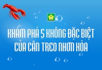 Khám phá năm điều dặc biệt của cân nhơn hòa 