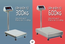 Cân Điện Tử Nhơn Hòa Hợp Lý Để Cân Hàng Hóa Có Khối Lượng Lớn